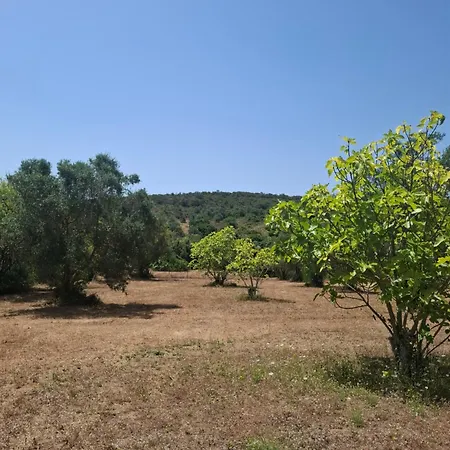 Poco Novo Algarve Glampingzelt Couple * Loulé